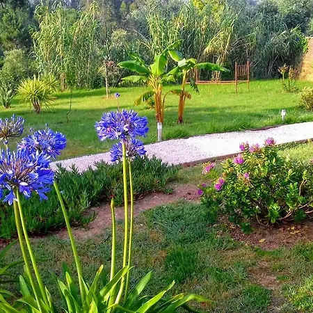 Casa Do Sobreiro 2 3* Serra das Alhadas