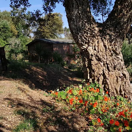 Casa Do Sobreiro 2 3* Serra das Alhadas