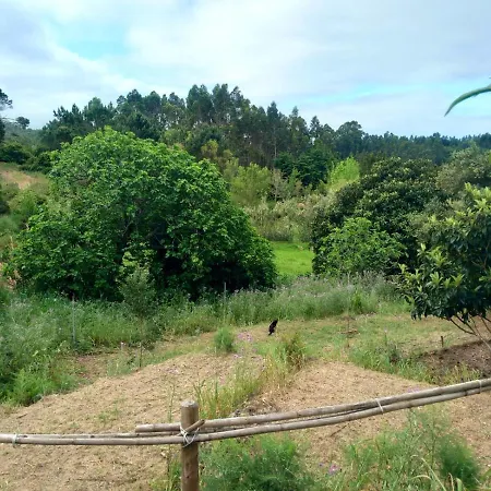 Casa Do Sobreiro 2 Отель типа 