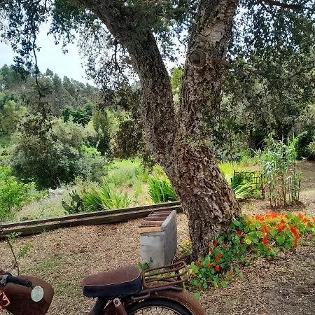 Casa Do Sobreiro 2 Bed & Breakfast 3*