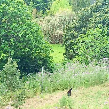 Casa Do Sobreiro 2 Bed & Breakfast