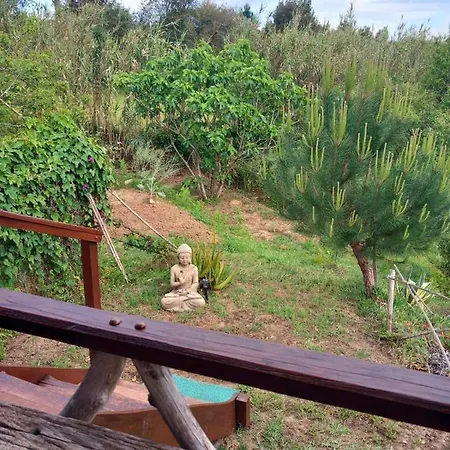 Casa Do Sobreiro 2 3*