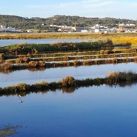 Bed & Breakfast Casa Do Sobreiro 2 Serra das Alhadas