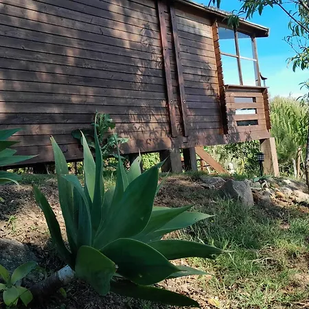 Casa Do Sobreiro 2 3*