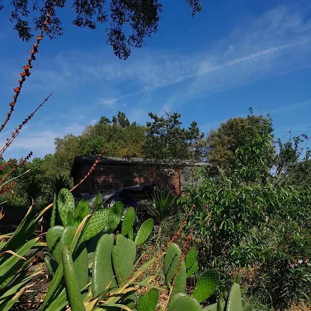 Bed & Breakfast Casa Do Sobreiro 2