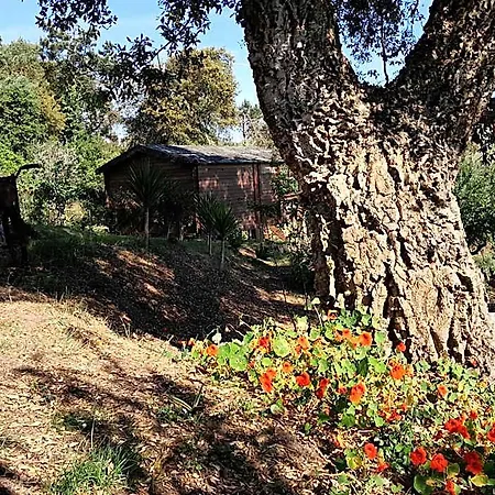 Bed & Breakfast Casa Do Sobreiro 2 Serra das Alhadas