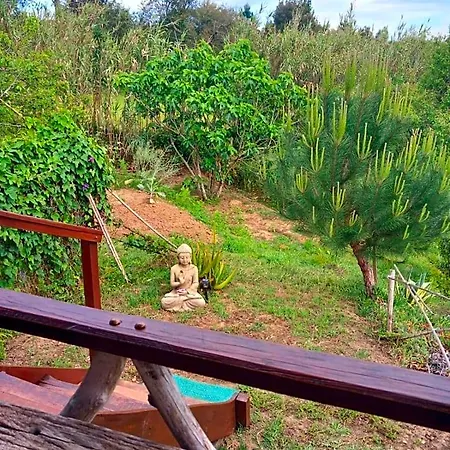Casa Do Sobreiro 2 Bed & Breakfast Serra das Alhadas