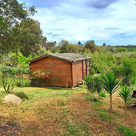 Casa Do Sobreiro 2 Bed & Breakfast Serra das Alhadas