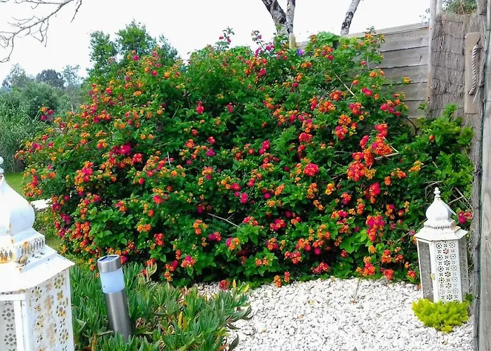 Bed & Breakfast Casa Do Sobreiro 2 Serra das Alhadas