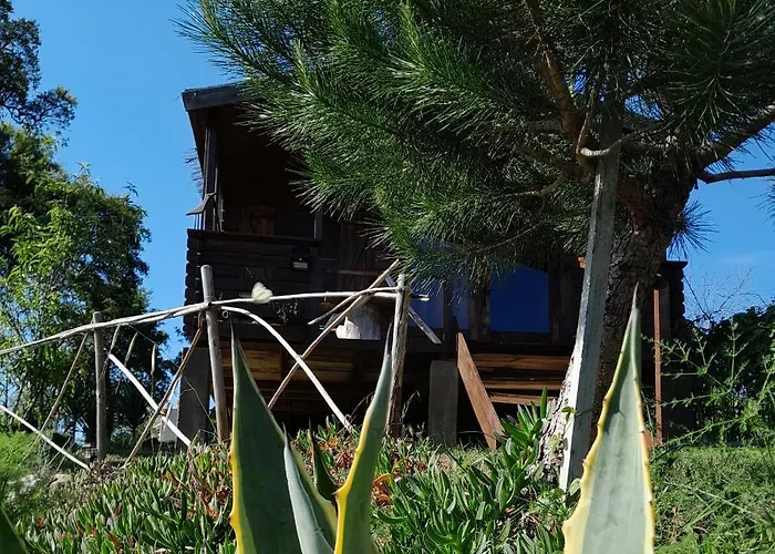 Casa Do Sobreiro 2 Frühstückspension