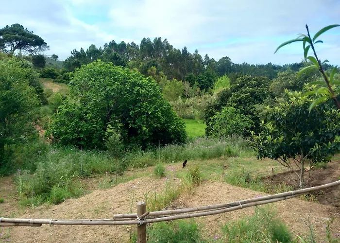 Casa Do Sobreiro 2 Bed & Breakfast Serra das Alhadas