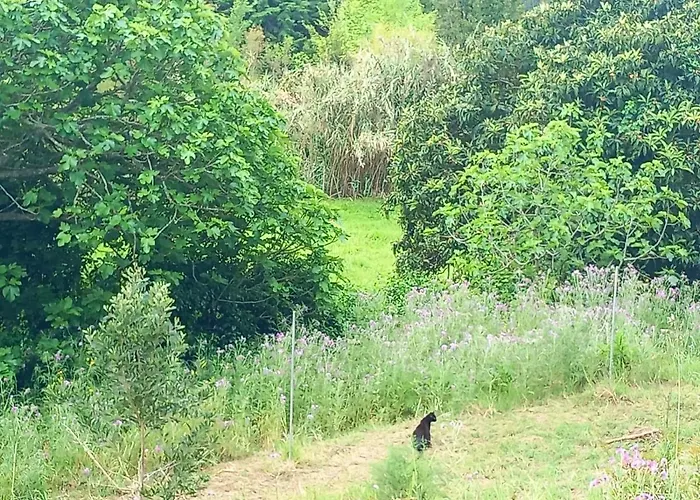 Casa Do Sobreiro 2 Bed & Breakfast